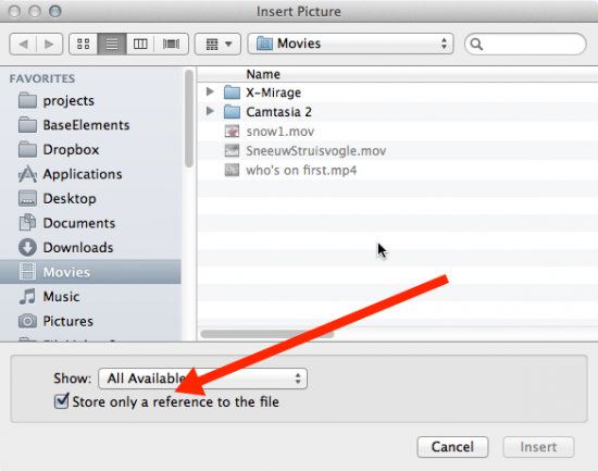 get path to a file stored in a container filemaker pro 15