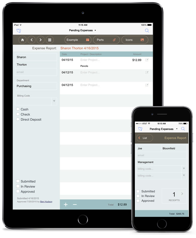 filemaker go 19 requirements filemaker go 19 requirements