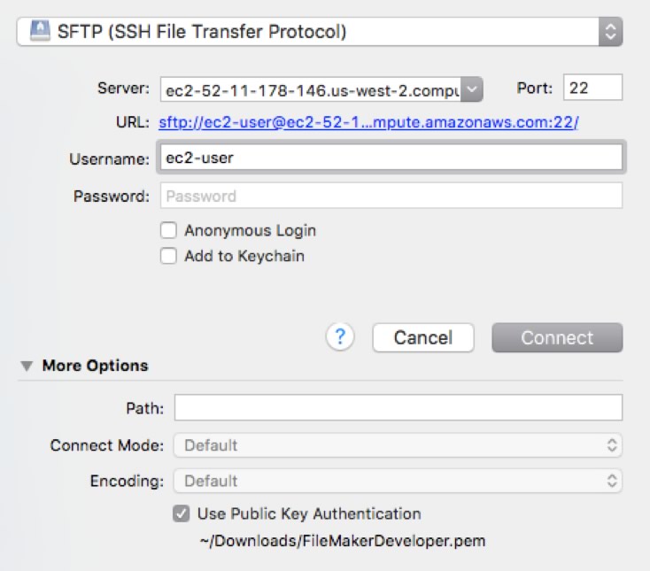 Figure 4 - Copy files from the Amazon Linux instance to your desktop