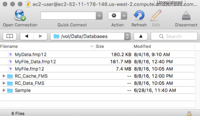 Figure 5 - Navigate to /vol/Data/Databases/ and download any of your files