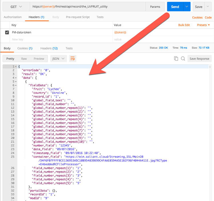 FileMaker Data API - Request Response