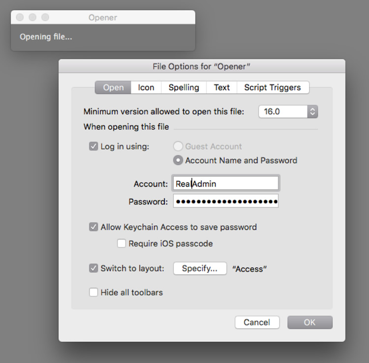 Figure 1 - File Options for the opener file