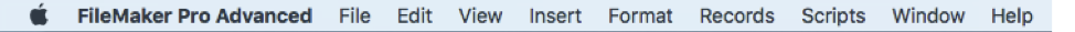 Standard top-level menus in FileMaker Pro Advanced