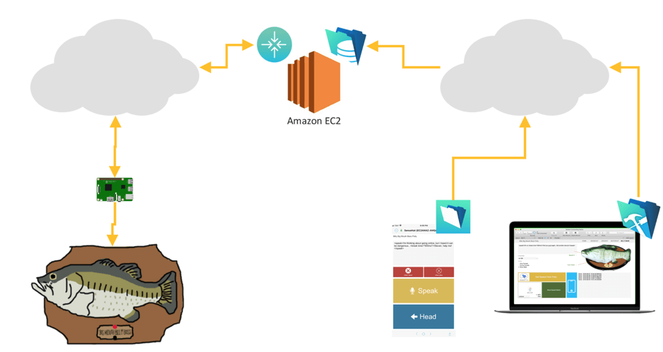 Diagram of the Bllly Bass workflow