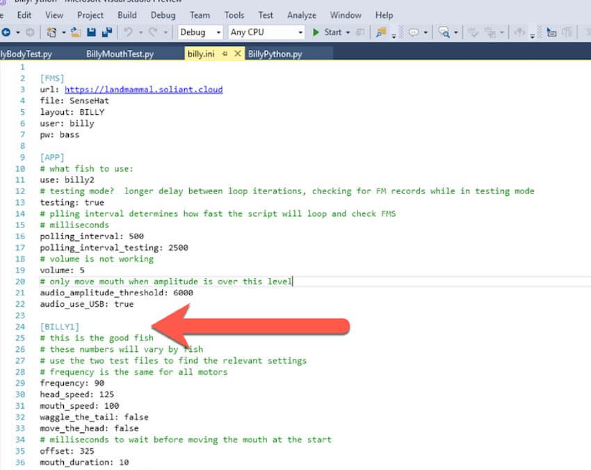 Values for the motor stored in the billy.ini config file