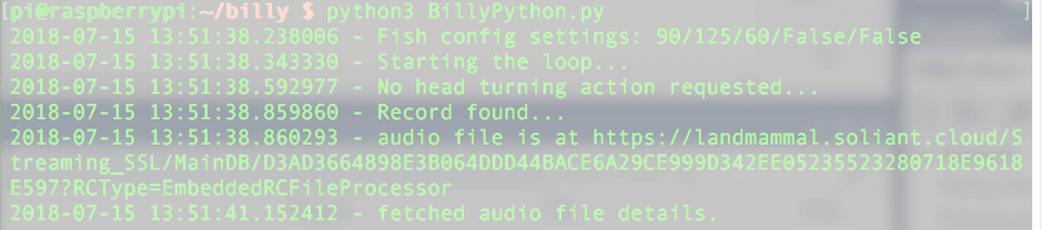 Screenshot of Python script running on the Raspberry Pi