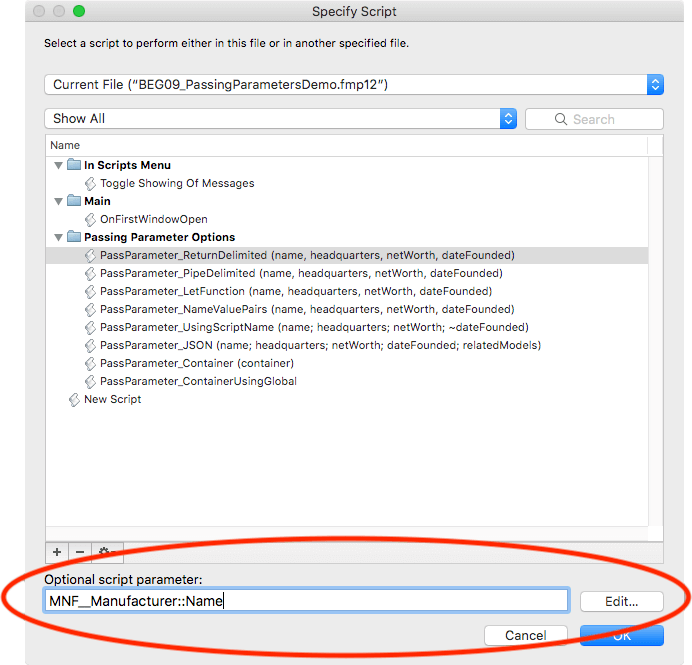 Pass single paragram through the "Optional Script Parameter"