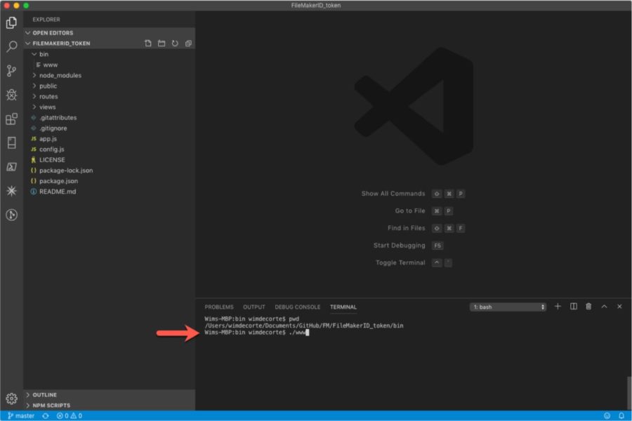 Your Guide to Using the Data API on FileMaker Cloud