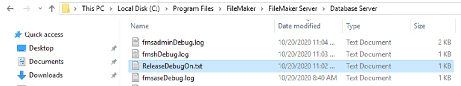 Photo of the ReleaseDebugOn.text file created and added to the Database Server folder in Windows