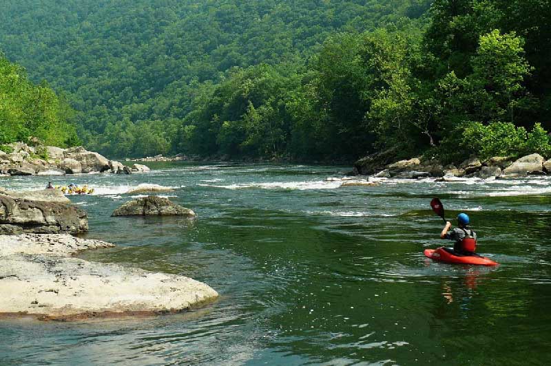 Person in kayak paddling in the water