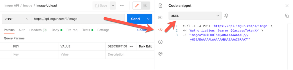 Picture of using the cURL syntax in tools such as Postman, Insomnia, or Paw