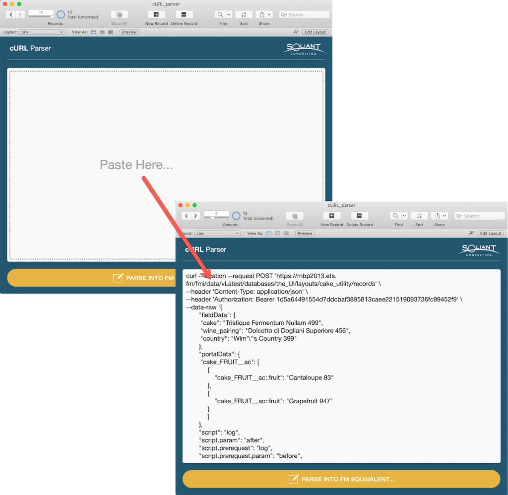 Picture showing pasting the cURL syntax into the FileMaker cURL utility