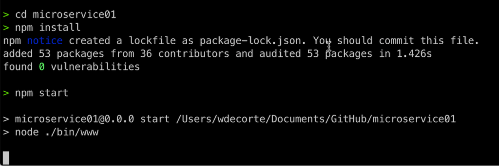 Use 'npm start' to run your microservice