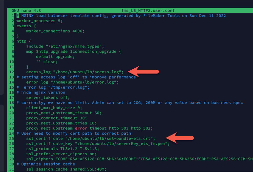 Screenshot of the Nginx config file with lines 12 and 25-26 highlighted