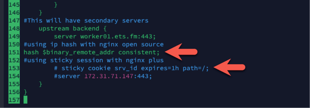 Screenshot of Lines 151 ad 153 highlighted in the Nginx config file