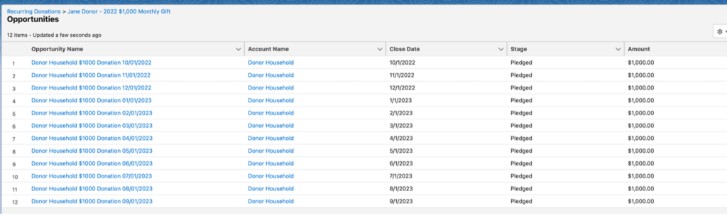 Screenshot of the recurring donation with the 12 Opportunities created.