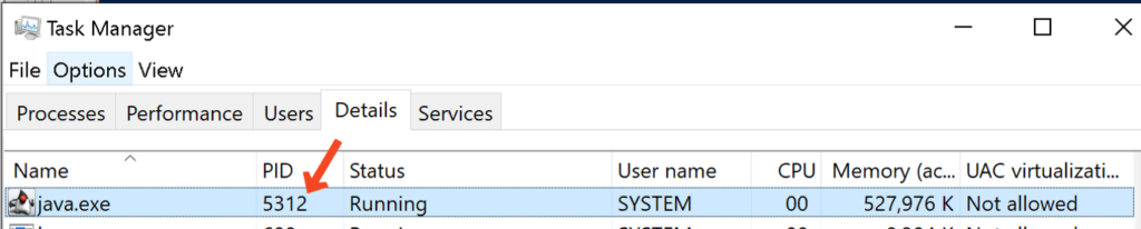 Screenshot of the Task Manager highlighting the Process ID (PID)