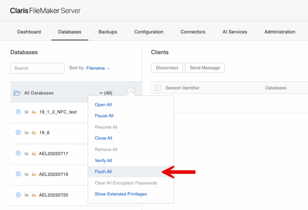 New option in the Admin Console on the Databases tab where you can flush any cached unsaved data to the disk for All or Single files